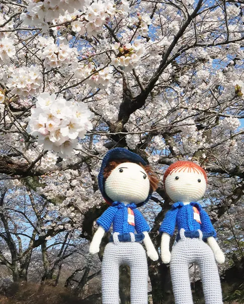 https://yama-guchi.co.jp/_content/wp-content/uploads/2026/06/main3.webp